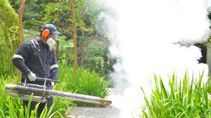 Best Residential Pest Control  in Veedersburg, IN